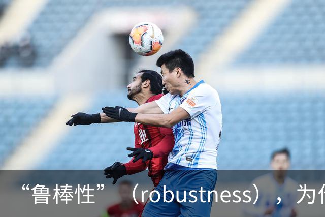 “鲁棒性”（robustness），为什么是糟糕的翻译？