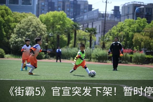 《街霸5》官宣突发下架！暂时停售 线上服务已暂停