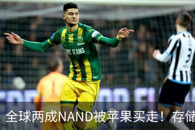 全球两成NAND被苹果买走！存储采购内幕曝光：不卖就让你跪着爬回来