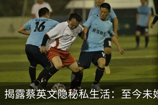 揭露蔡英文隐秘私生活：至今未婚无子，爱猫如命，家人早已远离