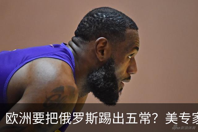 欧洲要把俄罗斯踢出五常？美专家警告，要是成功，中国就是下一个