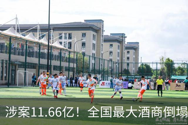 涉案11.66亿！全国最大酒商倒塌，这一造富神话彻底破灭