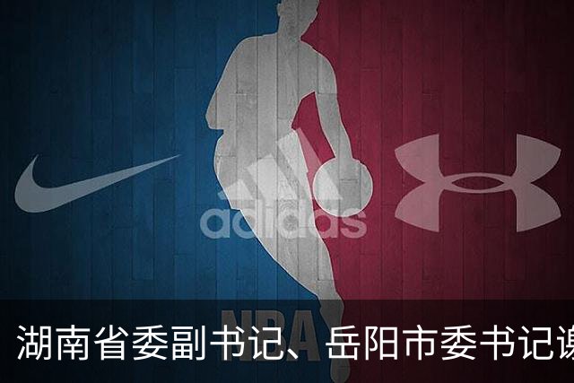 湖南省委副书记、岳阳市委书记谢卫江任湖南省政府党组书记