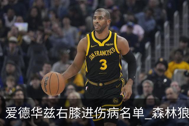 爱德华兹右膝进伤病名单 森林狼战骑士存变数