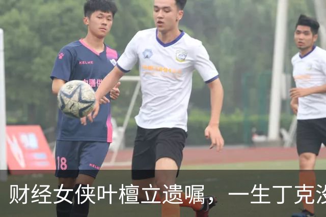 财经女侠叶檀立遗嘱，一生丁克没有子女，遗产谁来继承？