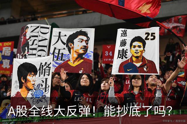 A股全线大反弹！能抄底了吗？