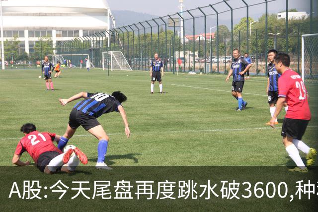 A股:今天尾盘再度跳水破3600,种种迹象表明,本轮调整或全面启动？