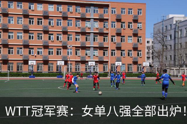 WTT冠军赛：女单八强全部出炉！中日包揽所有席位，产生一大意外